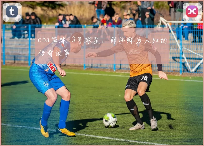 cba篮球13号球星,那些鲜为人知的传奇故事