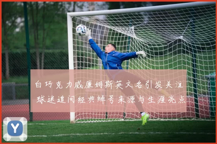 白巧克力威廉姆斯英文名引发关注 球迷追问经典绰号来源与生涯亮点