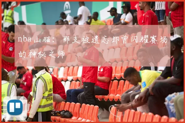 nba山猫：那支被遗忘却曾闪耀赛场的神秘之师