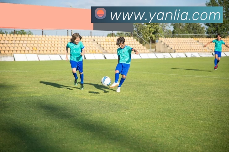 辅助工具 辅助工具